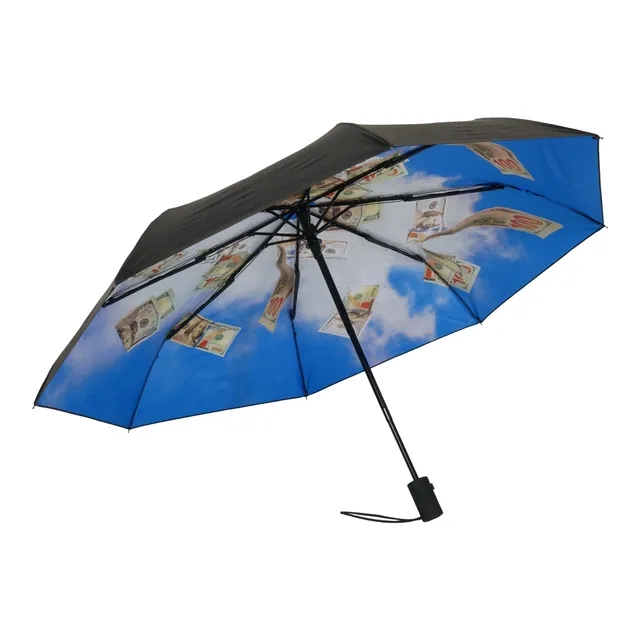 happysweeds-original-taschenschirm-cash-flow-sample-automatisch image 1