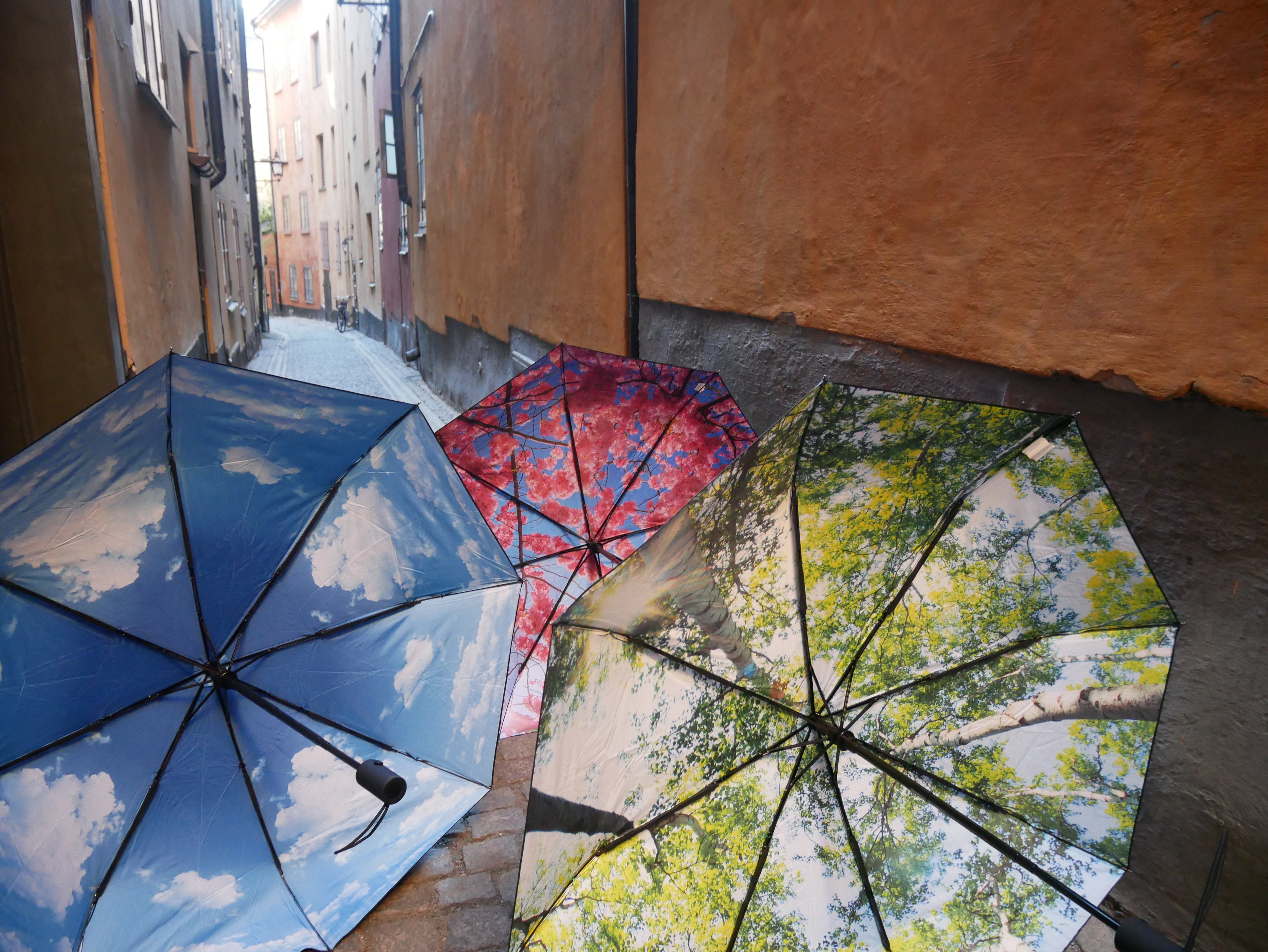 happysweeds-umbrella-bundles-sky-lake-regenschirm-mit-h-lle-winddicht image 5