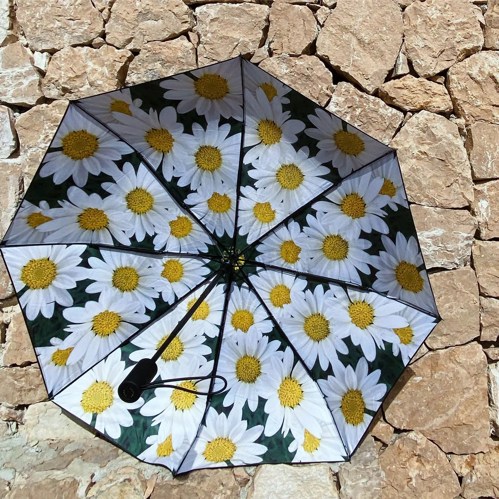 happysweeds-the-original-daisy-taschenschirm-g-nsebl-mchen-winddicht image 3