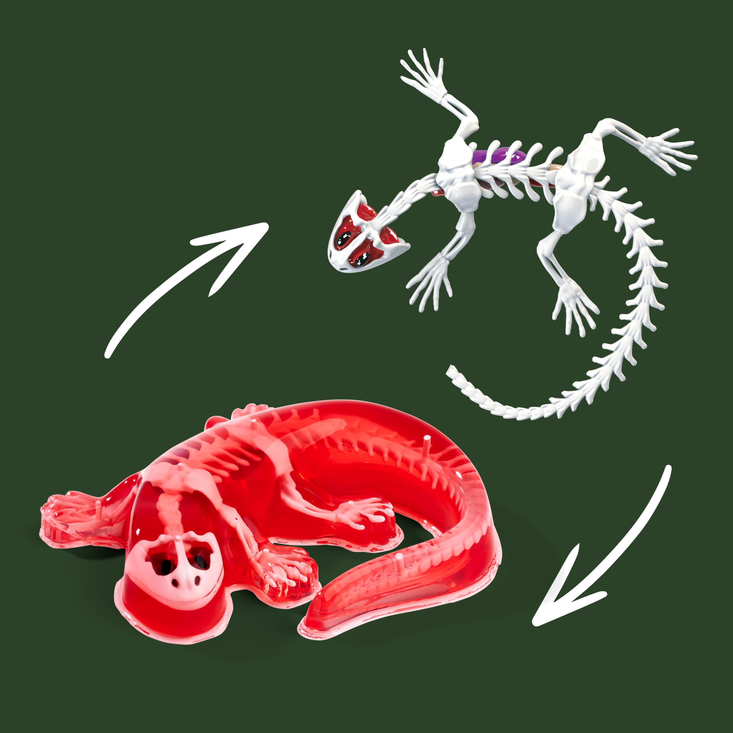 simba-scout-dissect-it-salamander-sezier-set-14-cm image 6