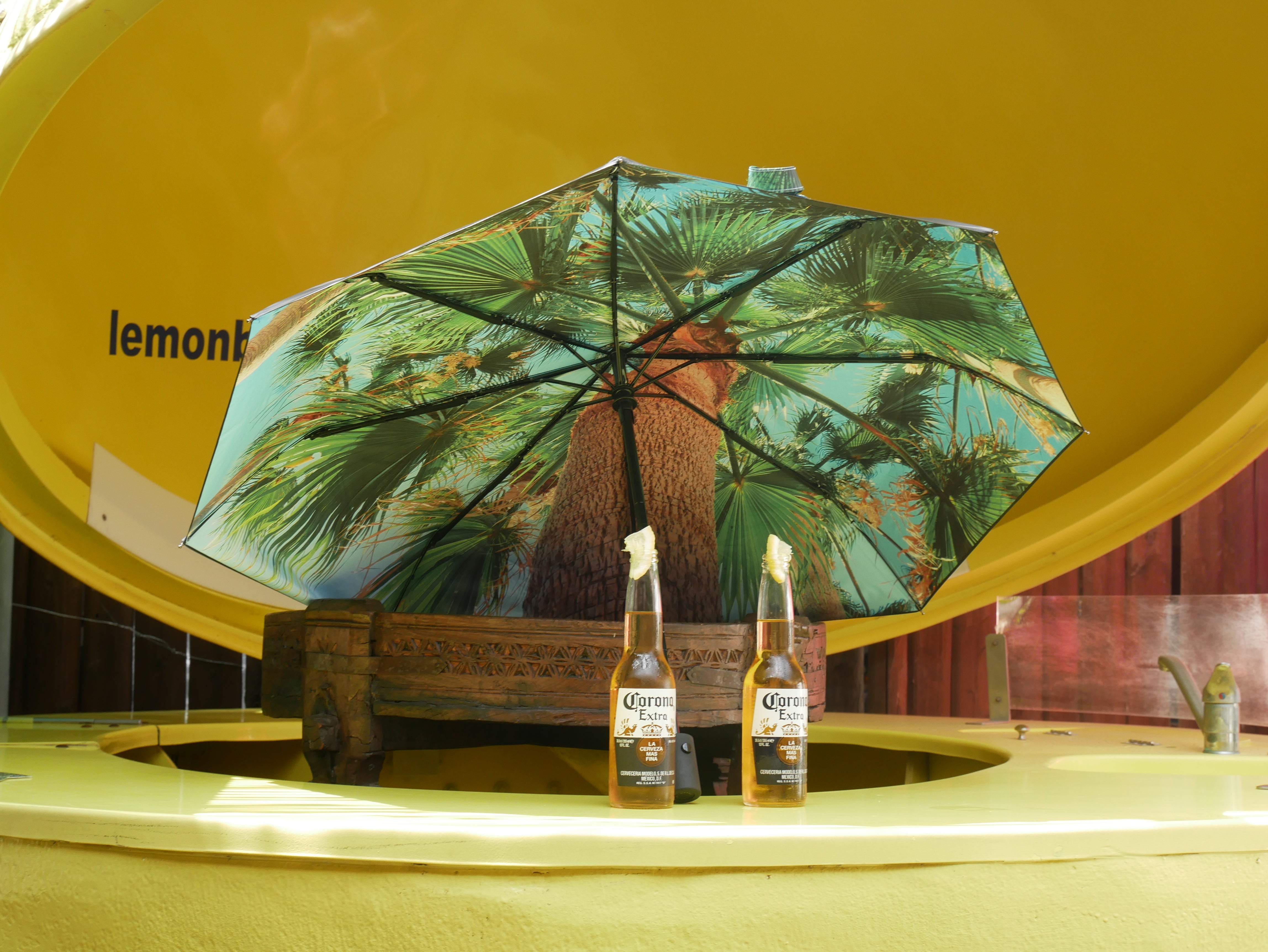 happysweeds-lemon-regenschirm-set-mit-h-lle-winddicht image 2