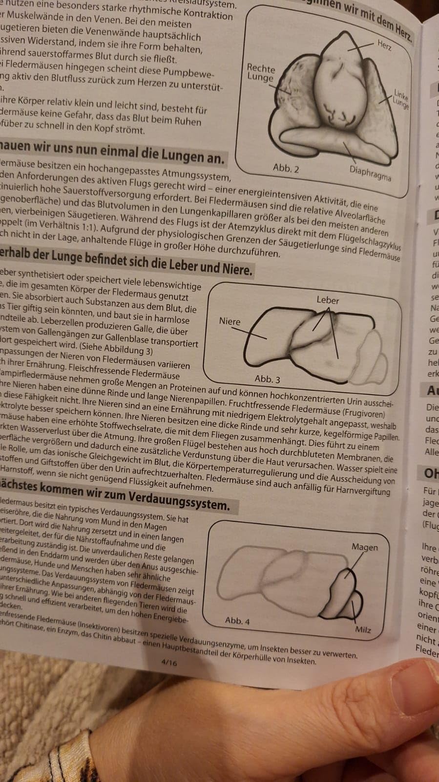 Eklig gut