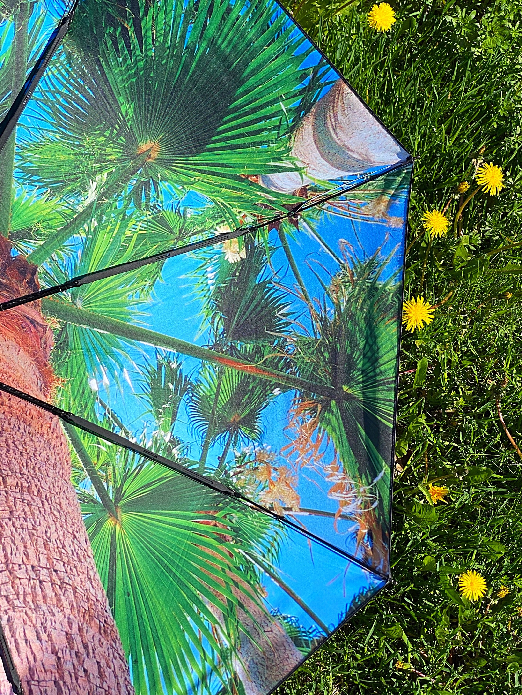 happysweeds-paradise-regenschirm-set-schirm-h-lle-windfest image 7