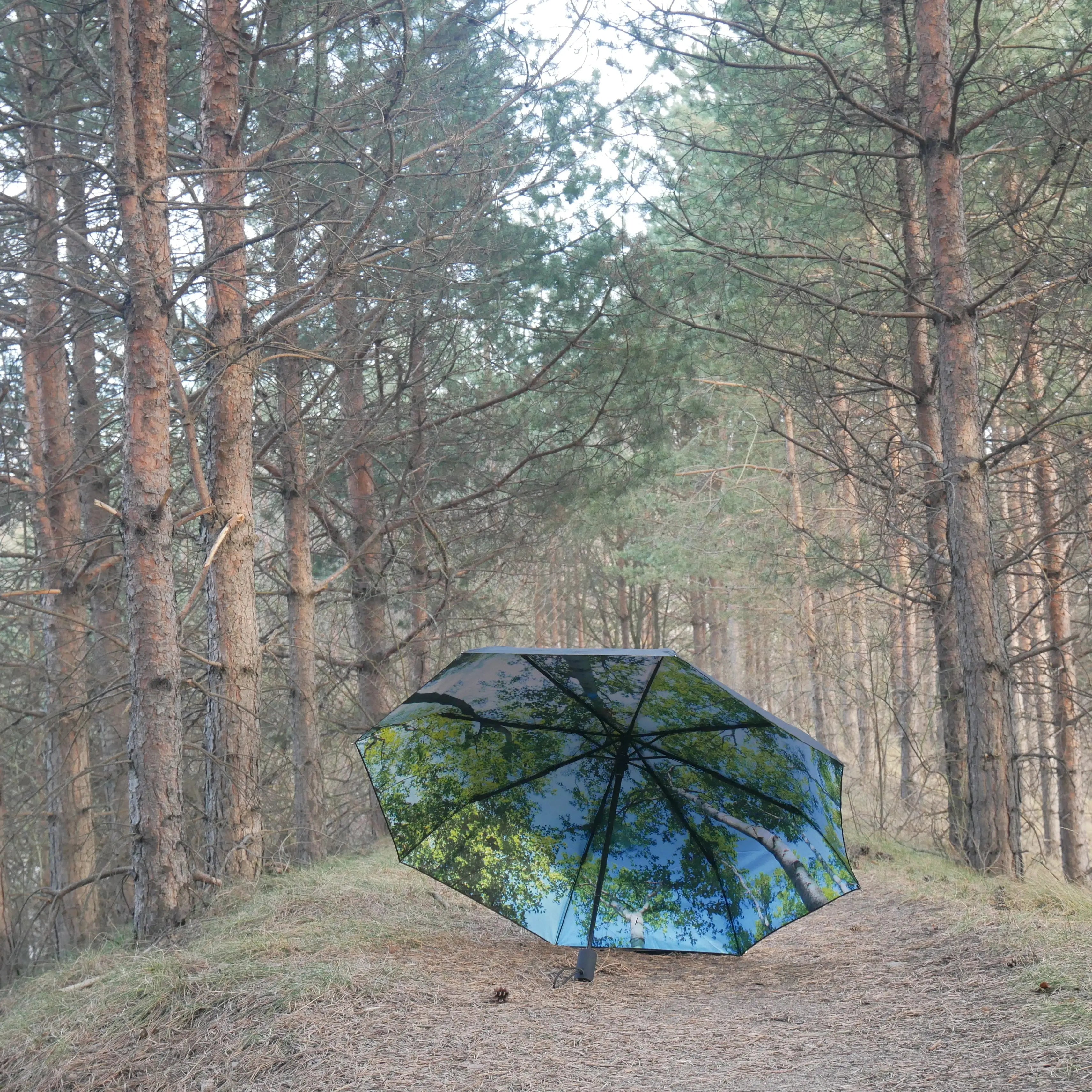 happysweeds-forest-umbrella-taschenschirm-winddicht-upf50 image 2