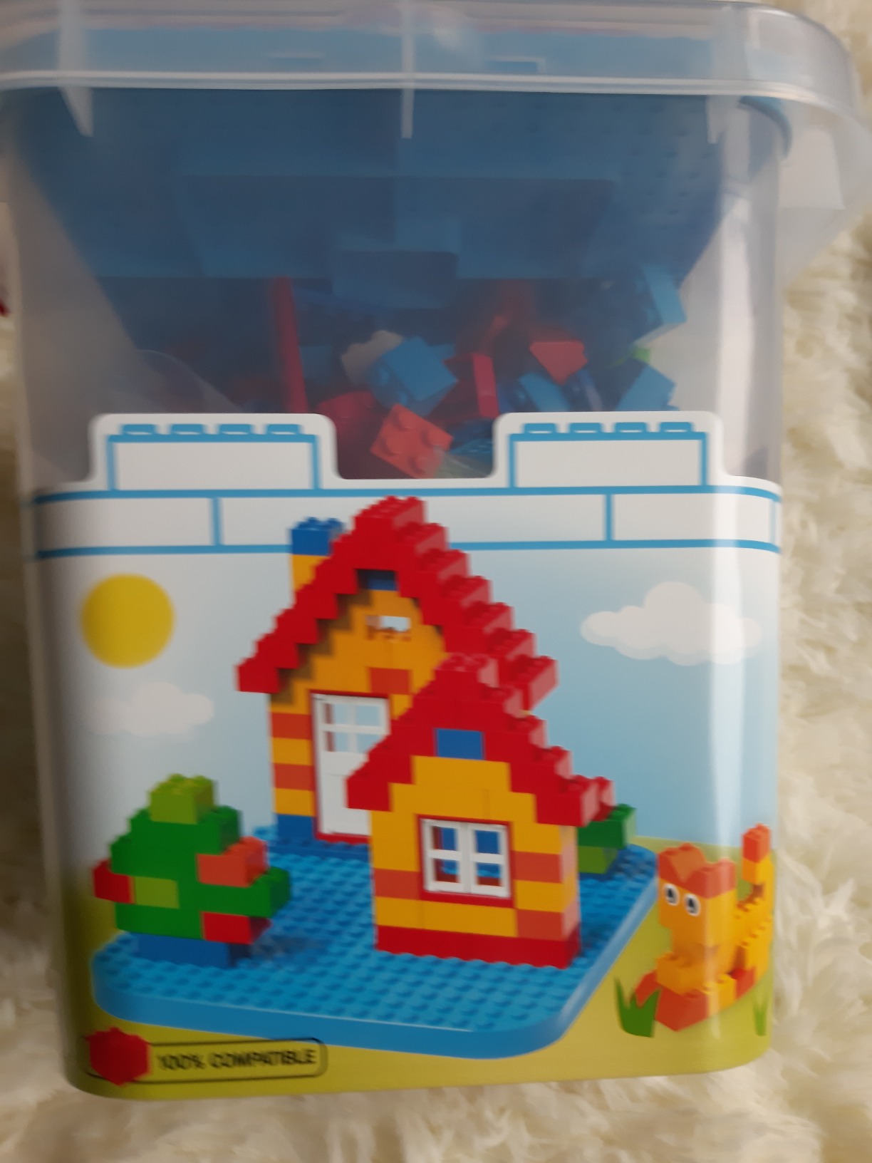Fenster dabei