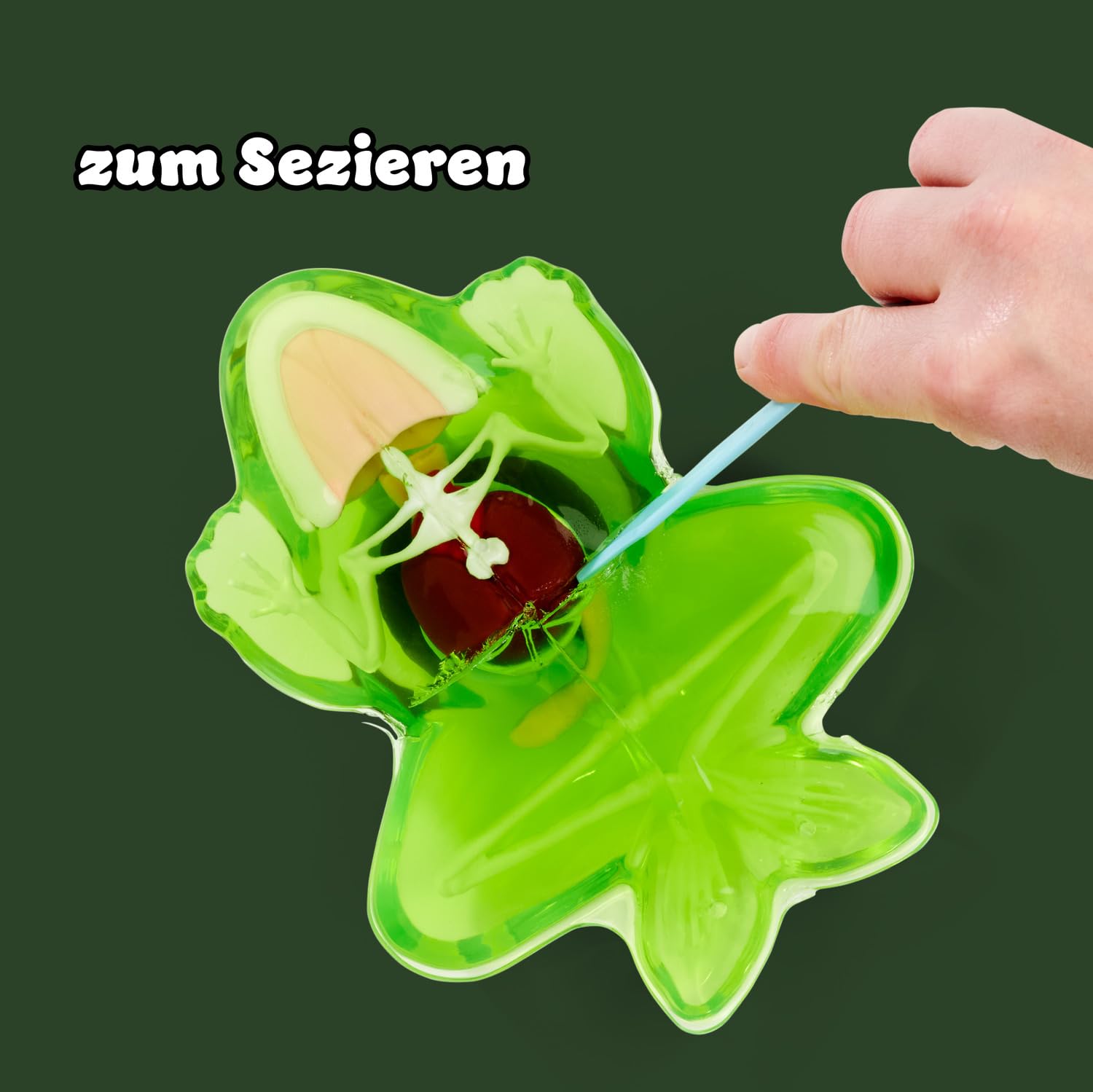 simba-scout-dissect-it-frosch-sezierset-16cm-mit-schleim-ab-5-jahre image 2