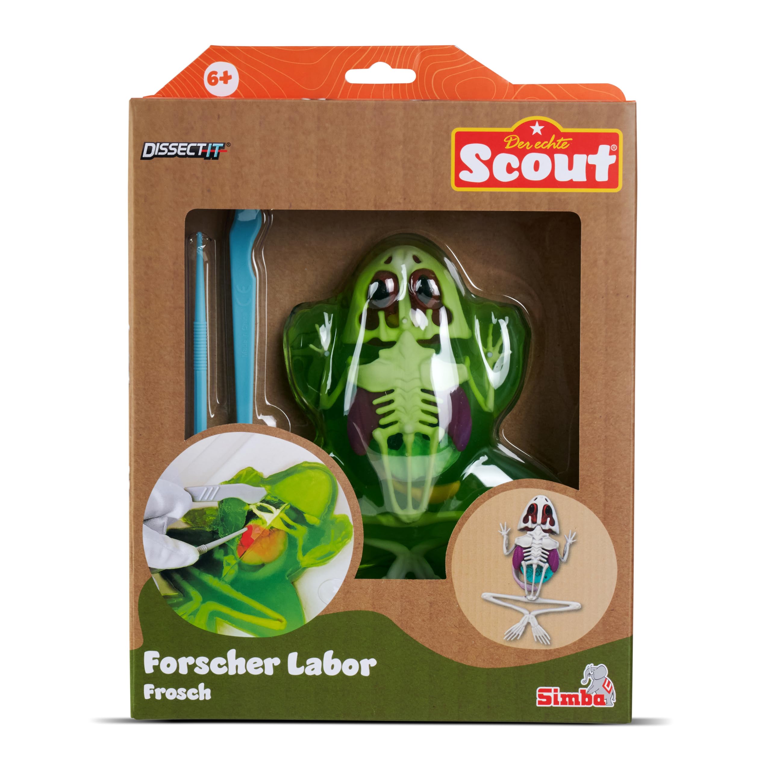 simba-scout-dissect-it-frosch-sezierset-16cm-mit-schleim-ab-5-jahre image 7