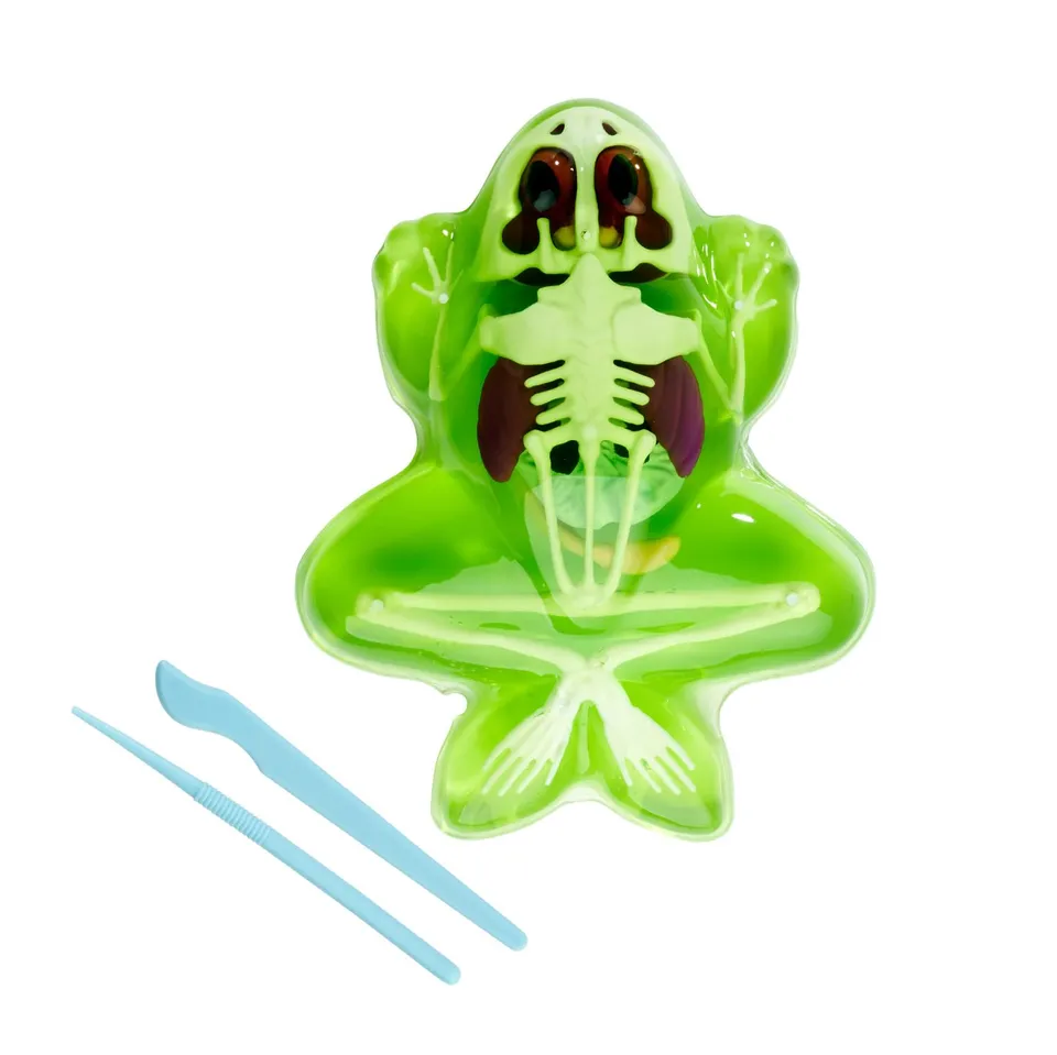 simba-scout-dissect-it-frosch-sezierset-16cm-mit-schleim-ab-5-jahre image 1
