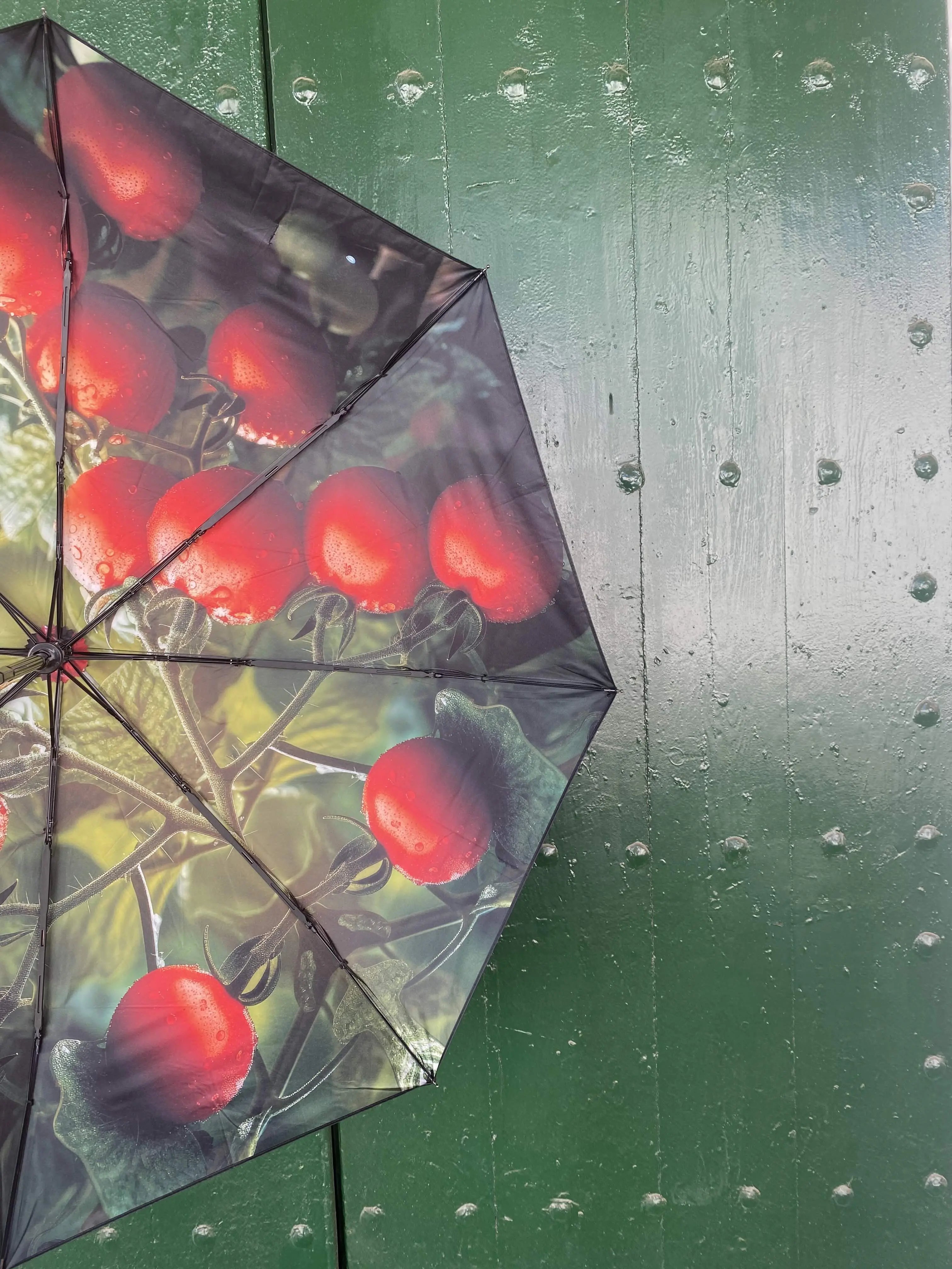 happysweeds-tomato-regenschirm-automatisch-winddicht-upf50-rot image 2