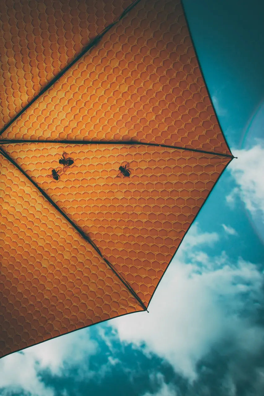 happysweeds-honey-regenschirm-automatisch-winddicht-upf50-honiggelb image 2