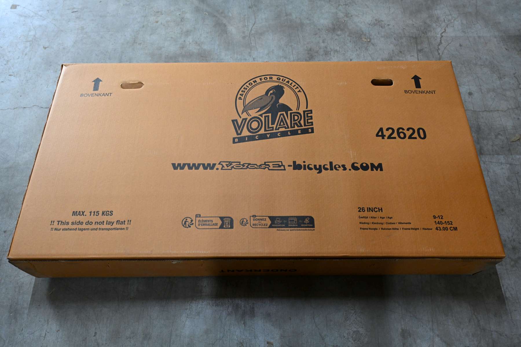 volare-rocky-26-zoll-jugendfahrrad-jungen-gr-n-outlet image 4