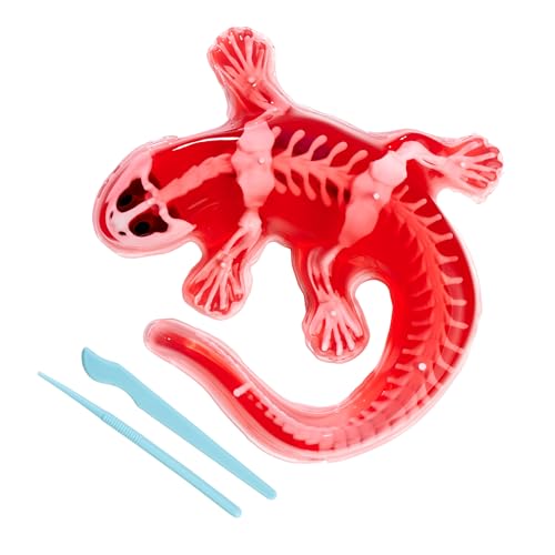 simba-scout-dissect-it-salamander-sezier-set-14-cm image 8