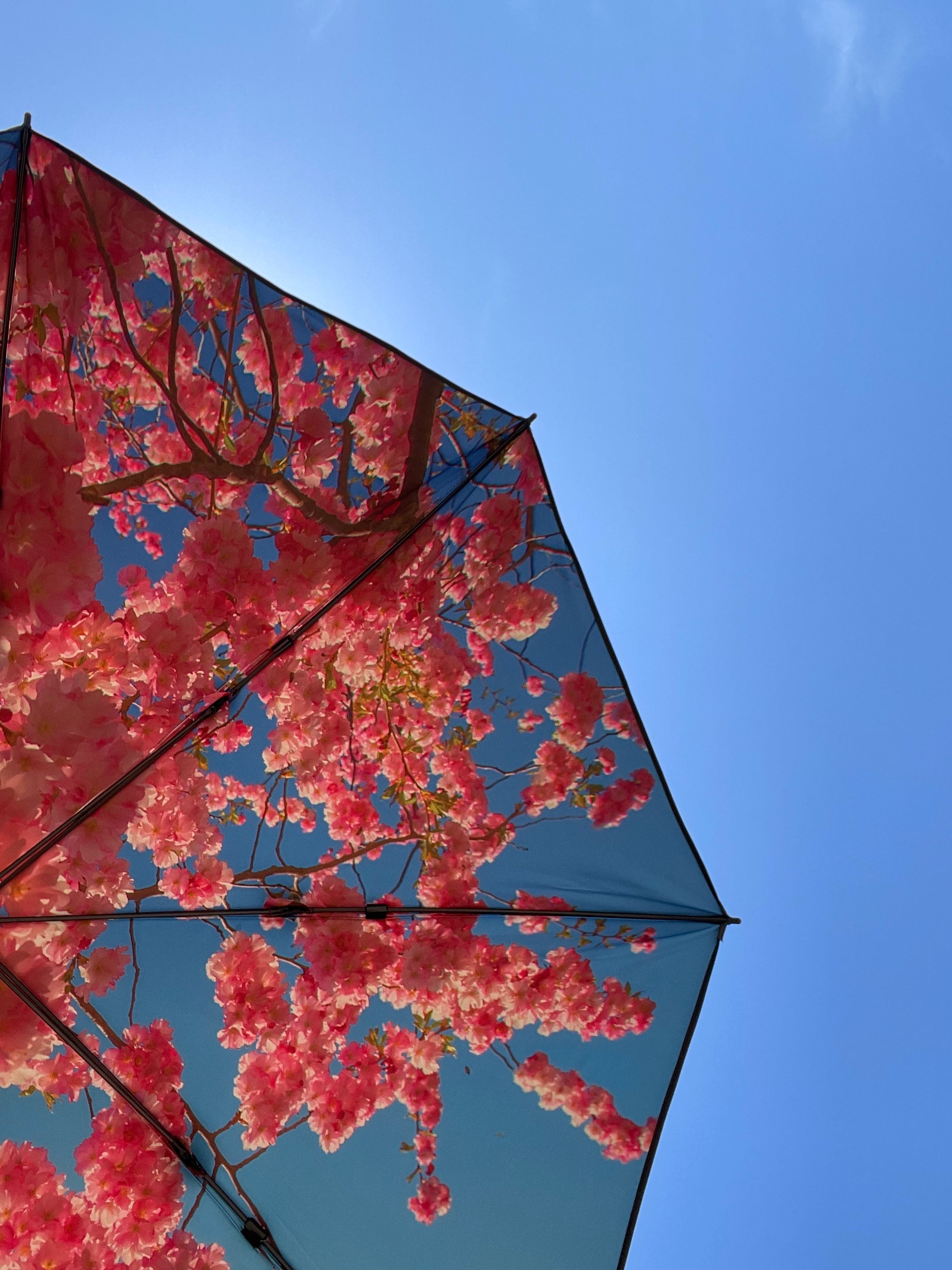 happysweeds-parasols-sonnenschirm-180cm-upf50-3-designs image 7