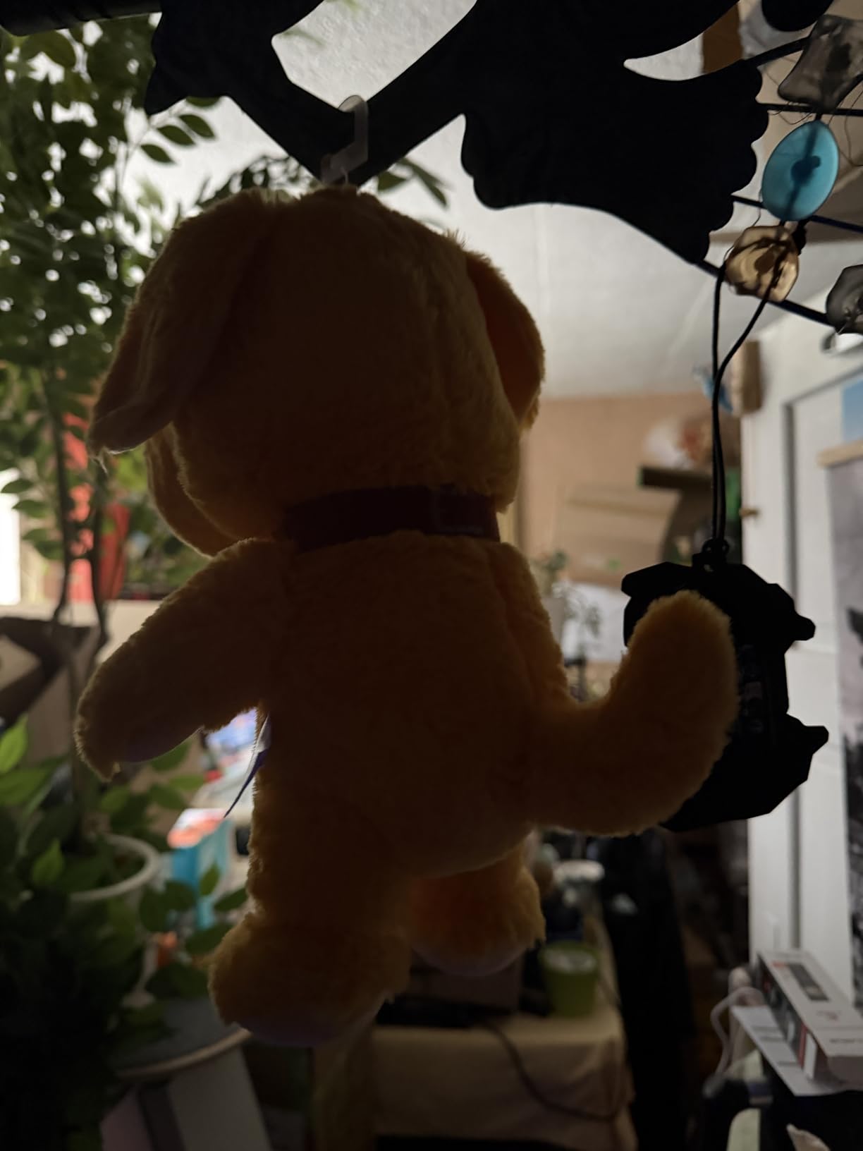 Mein Sohn liebt ihn