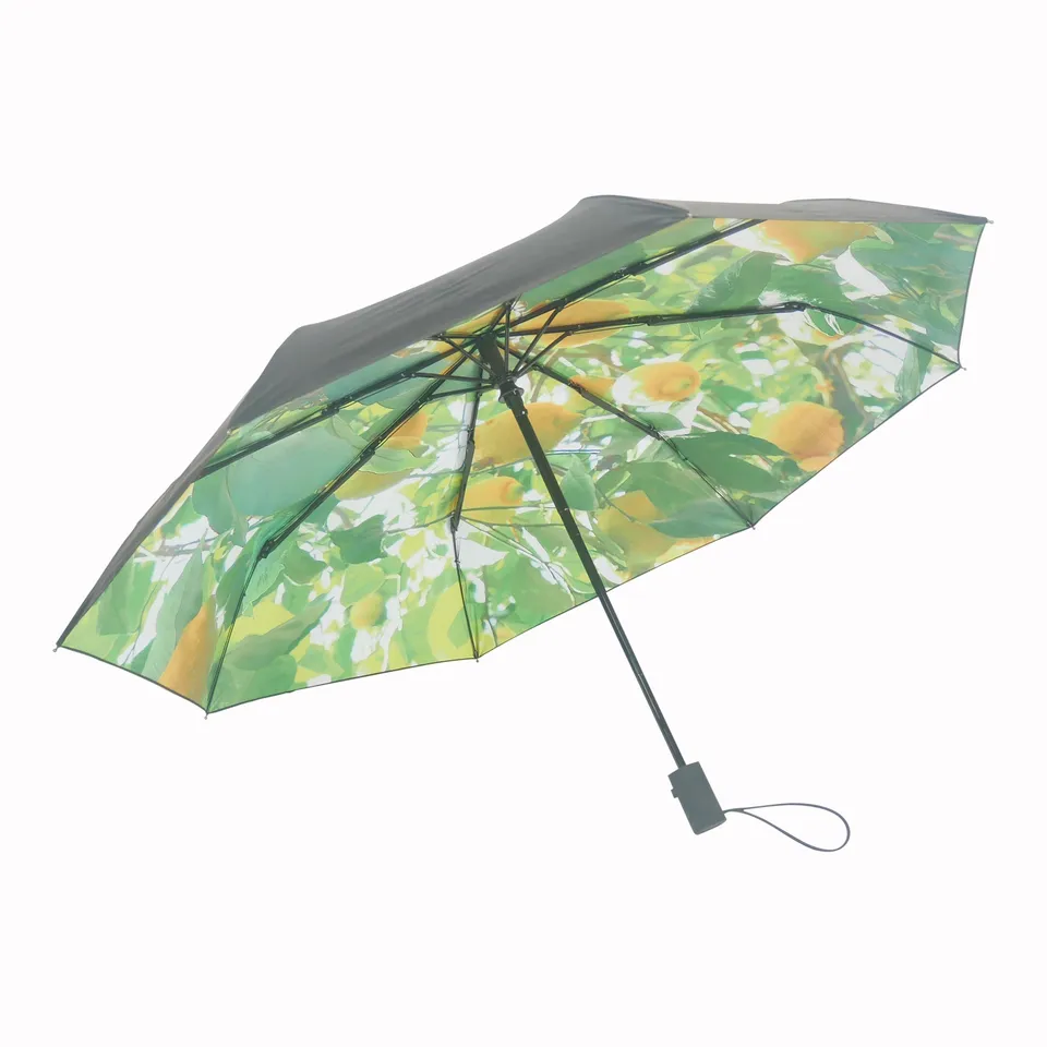 happysweeds-lemon-regenschirm-set-mit-h-lle-winddicht image 1